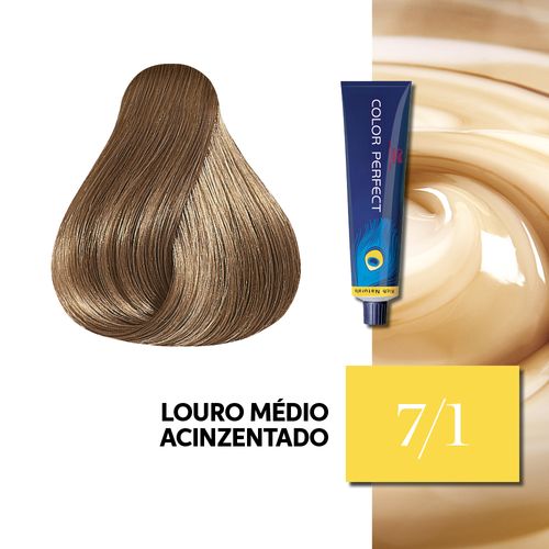 Color Perfect Rich Naturals