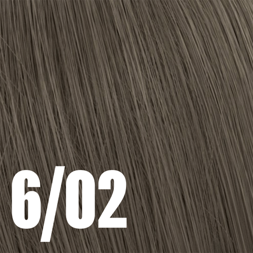 Color Xpress 6/02 60ml